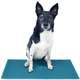 Tapete de Propriocepção FitPAWS® K9FitMat Para Cães