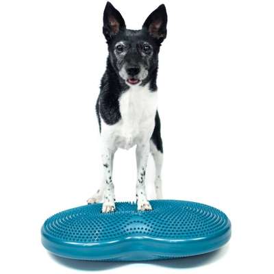 Disco Duplo de Treinamento FitPAWS® Inflável para Cães