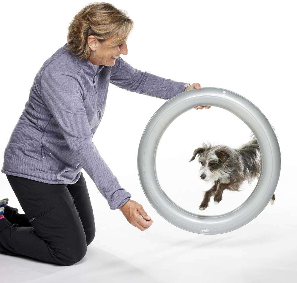 Suporte circular para Plataforma de Treinamento de Equilíbrio Inflável FitPAWS® TRAX™ Donut para Cães - Tam. Único