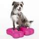 Mini Plataforma de treinamento de equilíbrio Inflável FitPAWS® K9FITbones para Cães