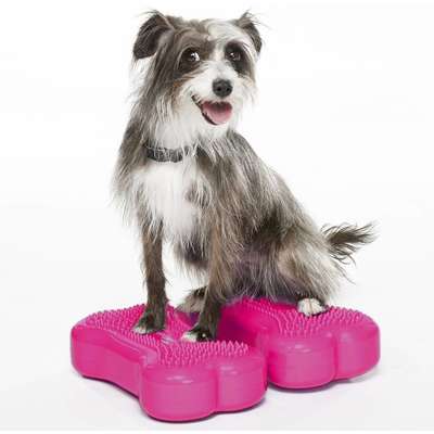 Mini Plataforma de treinamento de equilíbrio Inflável FitPAWS® K9FITbones para Cães