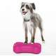 Mini Plataforma de treinamento de equilíbrio Inflável FitPAWS® K9FITbones para Cães
