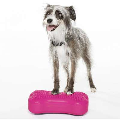 Mini Plataforma de treinamento de equilíbrio Inflável FitPAWS® K9FITbones para Cães