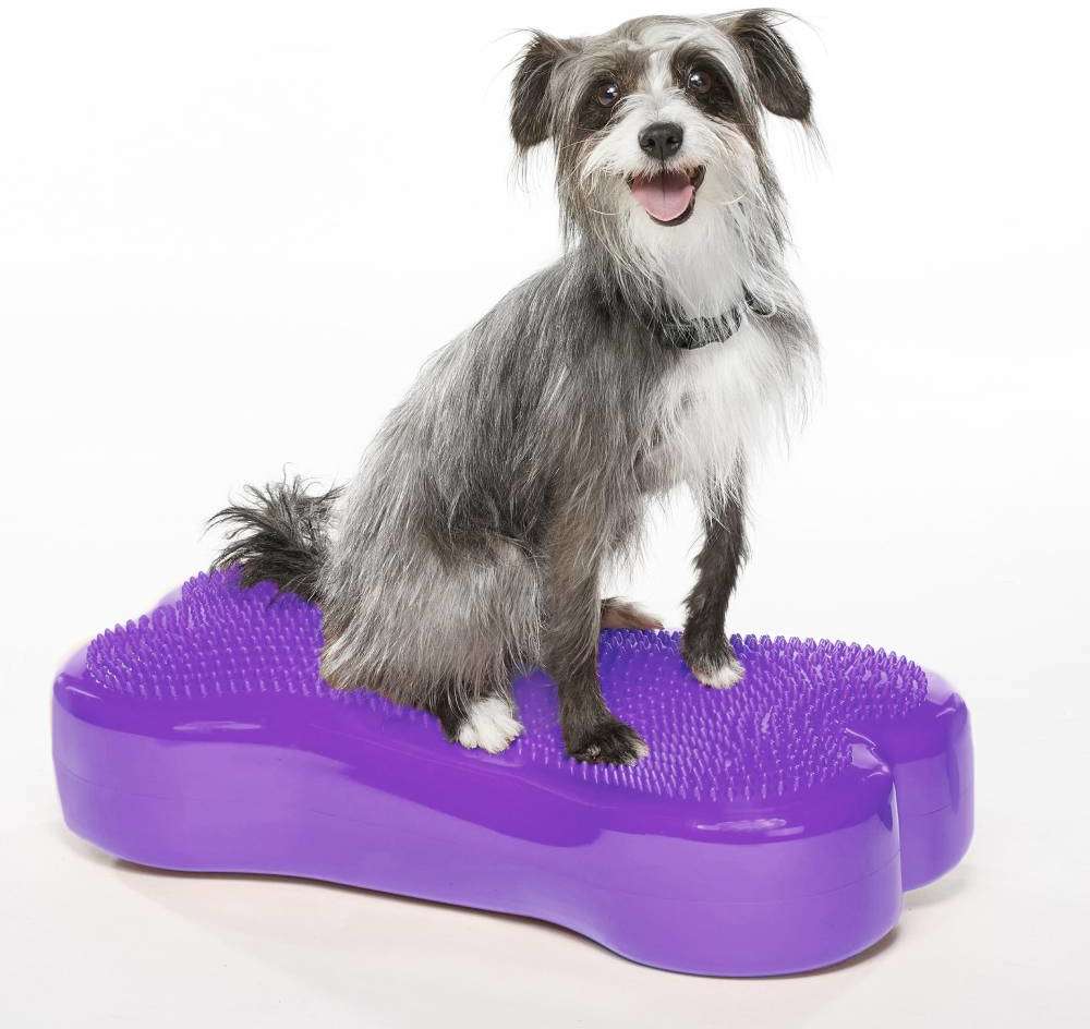 Plataforma de Treinamento de Equilíbrio Inflável FitPAWS® K9Fitbone para Cães - Tam. Único