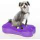 Plataforma de Treinamento de Equilíbrio Inflável FitPAWS® K9Fitbone para Cães