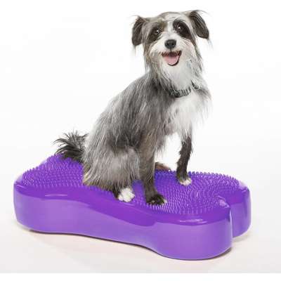 Plataforma de Treinamento de Equilíbrio Inflável FitPAWS® K9Fitbone para Cães