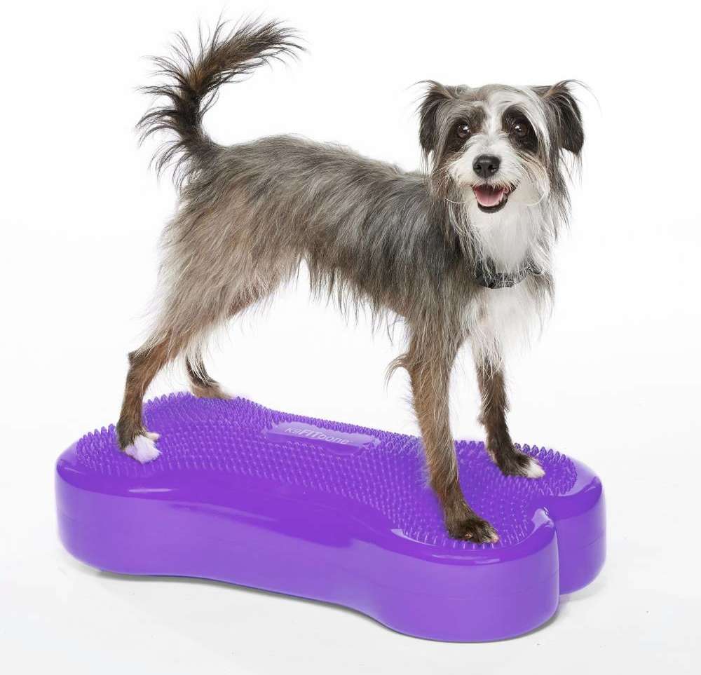 Plataforma de Treinamento de Equilíbrio Inflável FitPAWS® K9Fitbone para Cães - Tam. Único