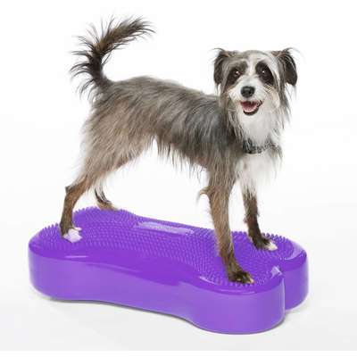 Plataforma de Treinamento de Equilíbrio Inflável FitPAWS® K9Fitbone para Cães