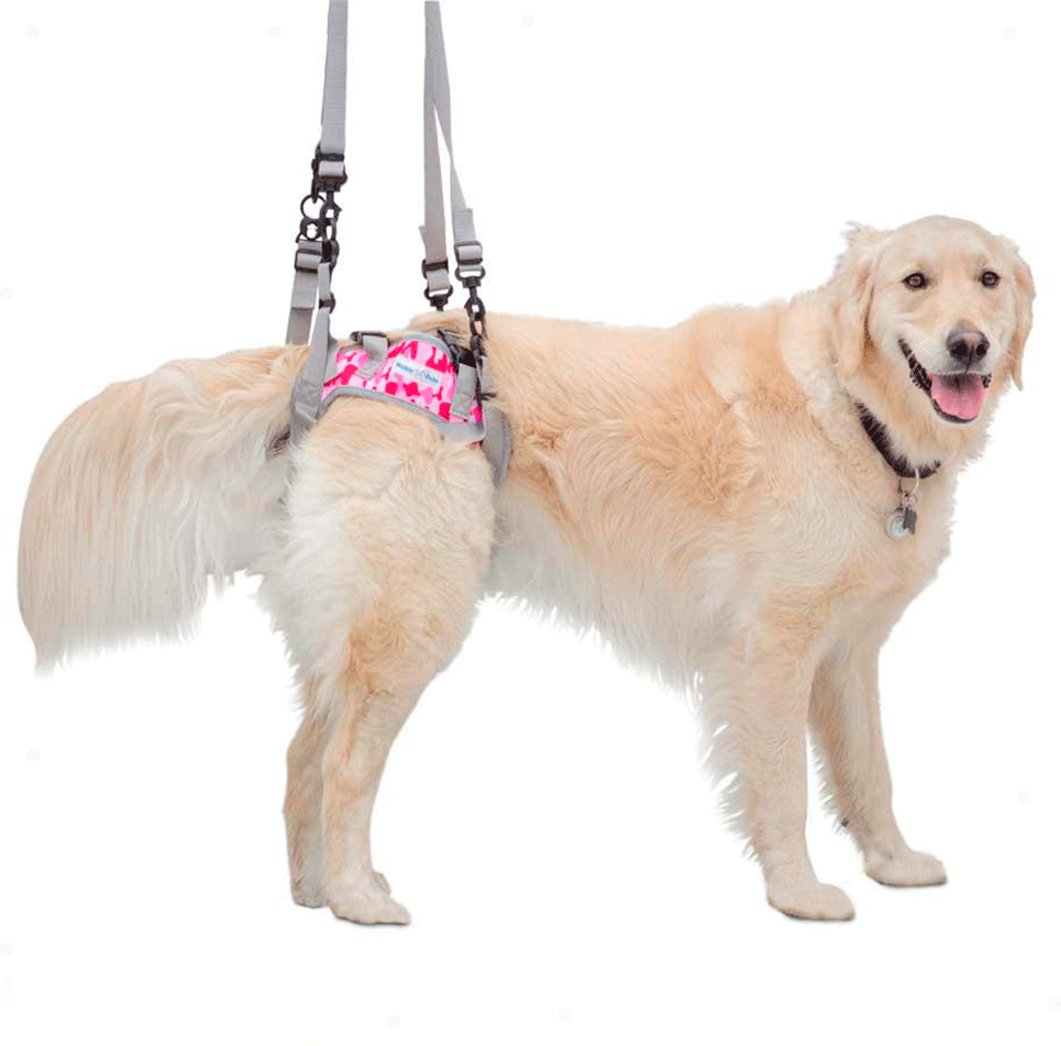 Suporte Pélvico Walkin' Pets Harness Rosa - Tam. GG