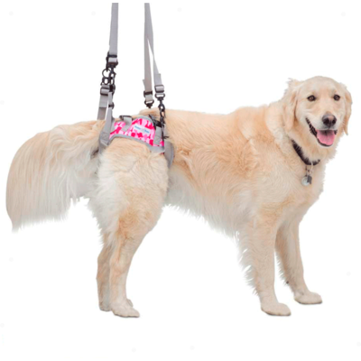 Suporte Pélvico Walkin' Pets Harness Rosa”