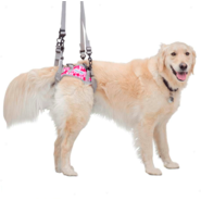 Suporte Pélvico Walkin' Pets Harness Rosa - Tam. GG