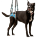 Suporte Pélvico Walkin' Pets Harness Azul”