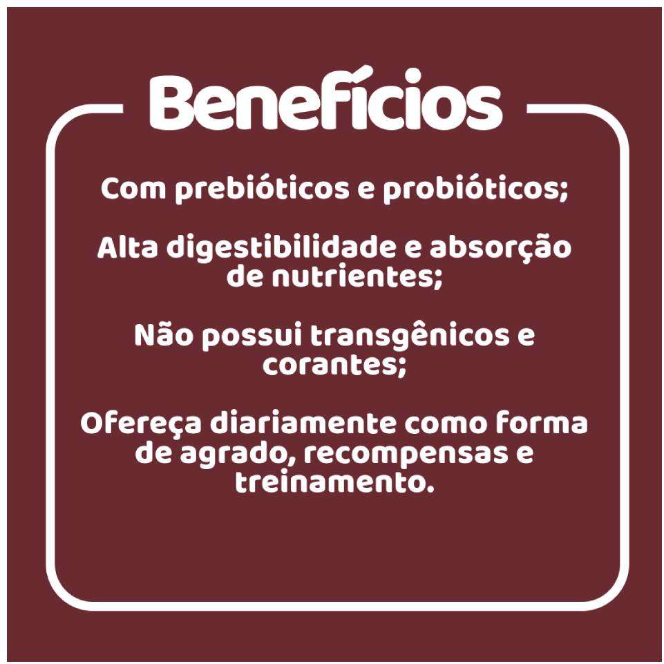 Petisco Doogs para Cães Sabor Churrasco - 40g