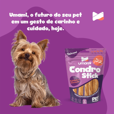 Osso Umami Condro Stick para Cães