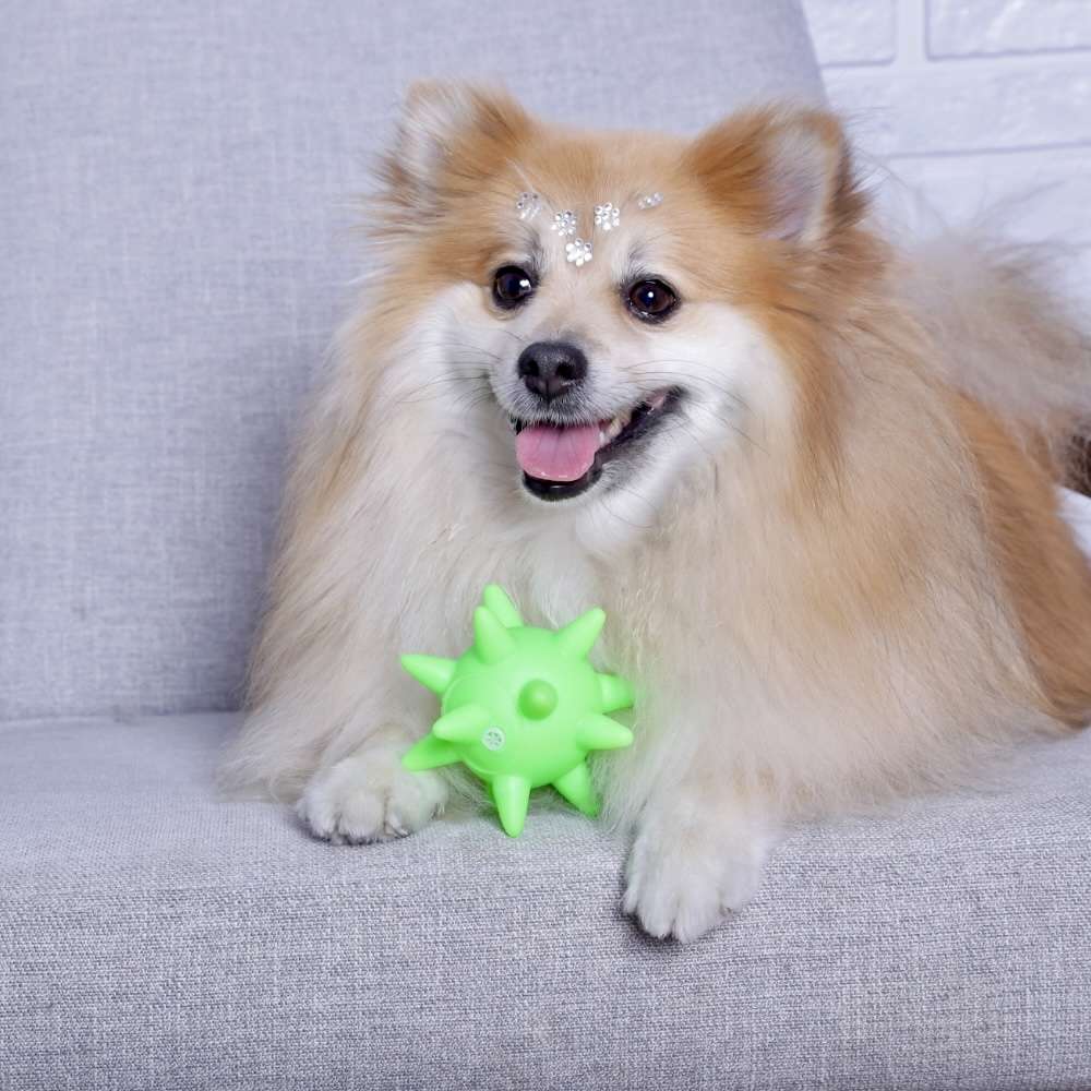 Brinquedo Home Pet Bola Cravo Vinil Verde - 10 cm