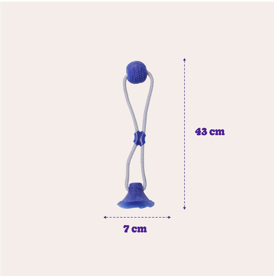 Brinquedo Mordedor Bola com Ventosa Azul para Cães - Tam. Único