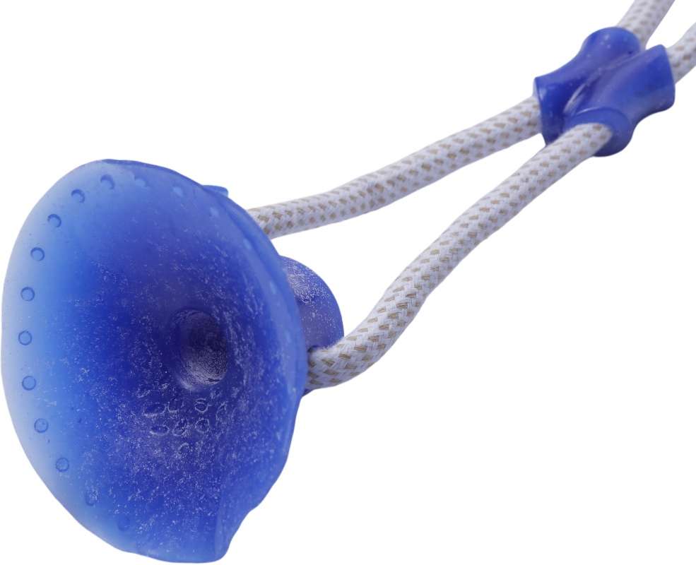 Brinquedo Mordedor Bola com Ventosa Azul para Cães - Tam. Único