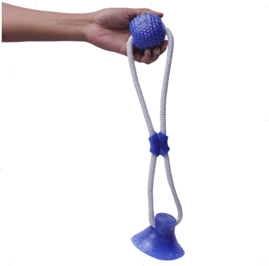 Brinquedo Mordedor Bola com Ventosa Azul para Cães - Tam. Único