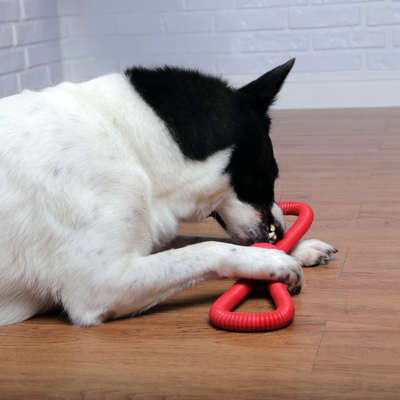 Brinquedo Duratoys Loop Flex Laço Vermelho