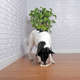 Brinquedo Forquilha de Bamboo Natural
