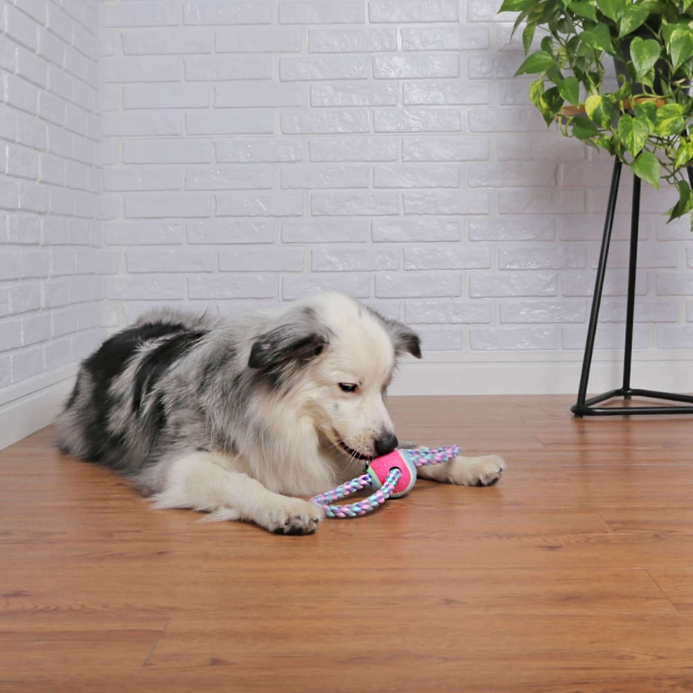 Brinquedo Bola de Tênis com Corda para Cães - Tam. Único