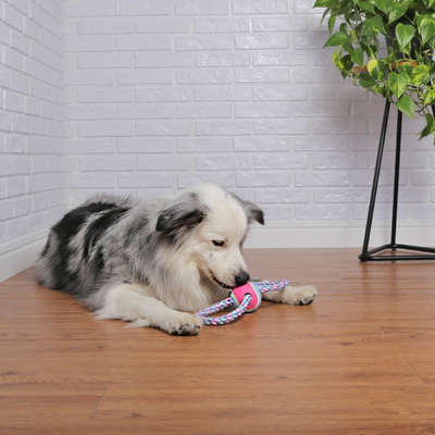 Brinquedo Bola de Tênis com Corda para Cães