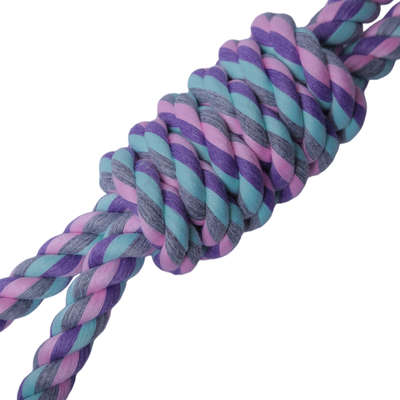 Brinquedo Mordedor Corda em 8 Twisted para Cães