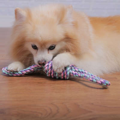 Brinquedo Mordedor Corda em 8 Twisted para Cães