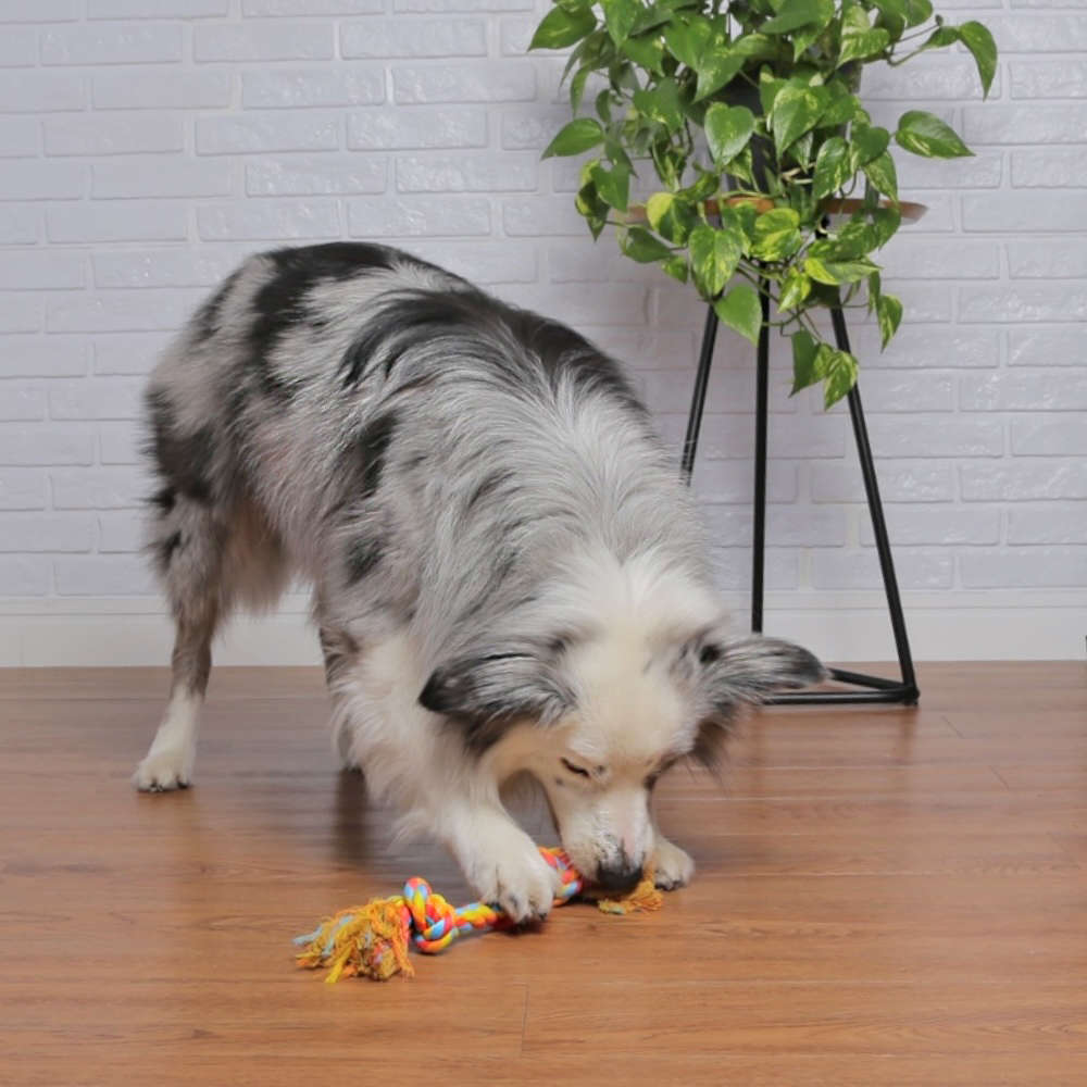 Brinquedo Mordedor Corda Rubber Bone Vermelho e Amarelo para Cães - Tam. Único
