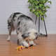 Brinquedo Mordedor Corda Rubber Bone Vermelho e Amarelo para Cães