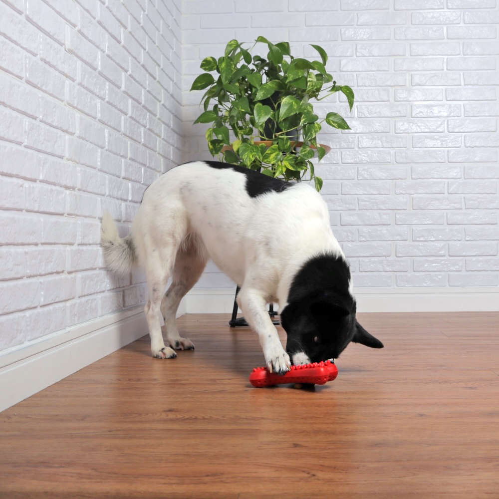 Brinquedo Osso com Relevo Vermelho Sabor Churrasco para Cães - Tam. Único