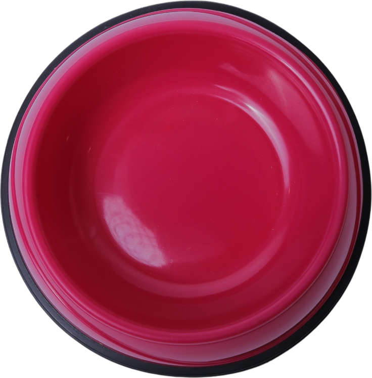 Comedouro Chalesco Plástico com Antiderrapante Rosa - Tam. 03