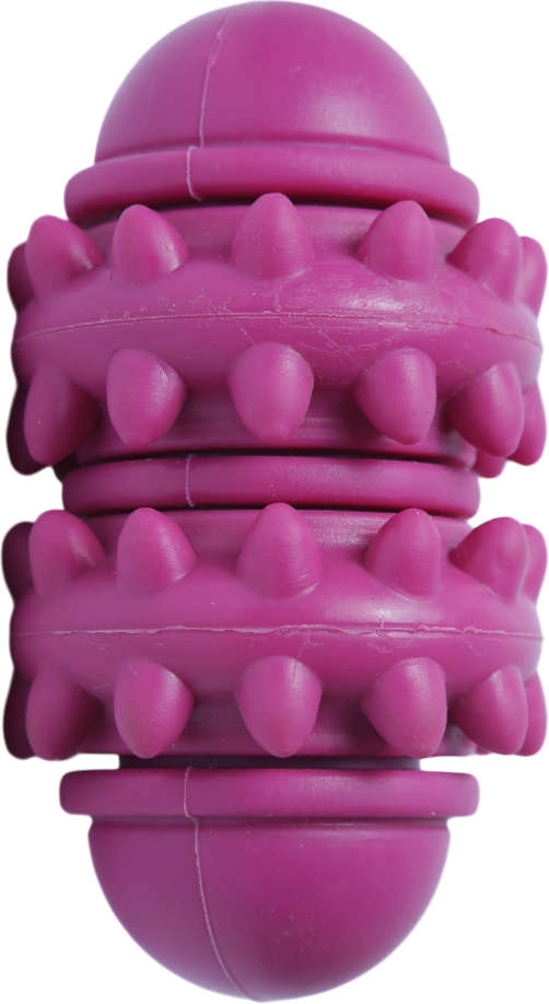 Brinquedo Cilindro Roxo Sabor Leite para Cães - Tam. Único