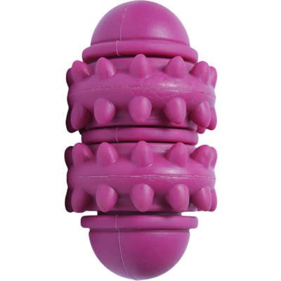 Brinquedo Cilindro Roxo Sabor Leite para Cães