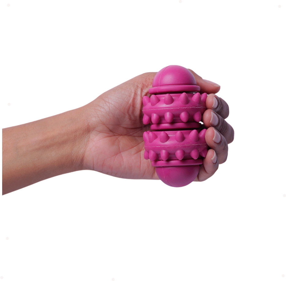 Brinquedo Cilindro Roxo Sabor Leite para Cães - Tam. Único