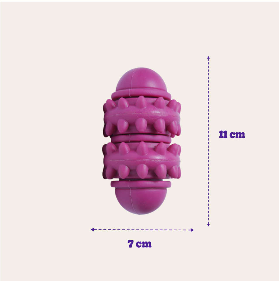 Brinquedo Cilindro Roxo Sabor Leite para Cães - Tam. Único