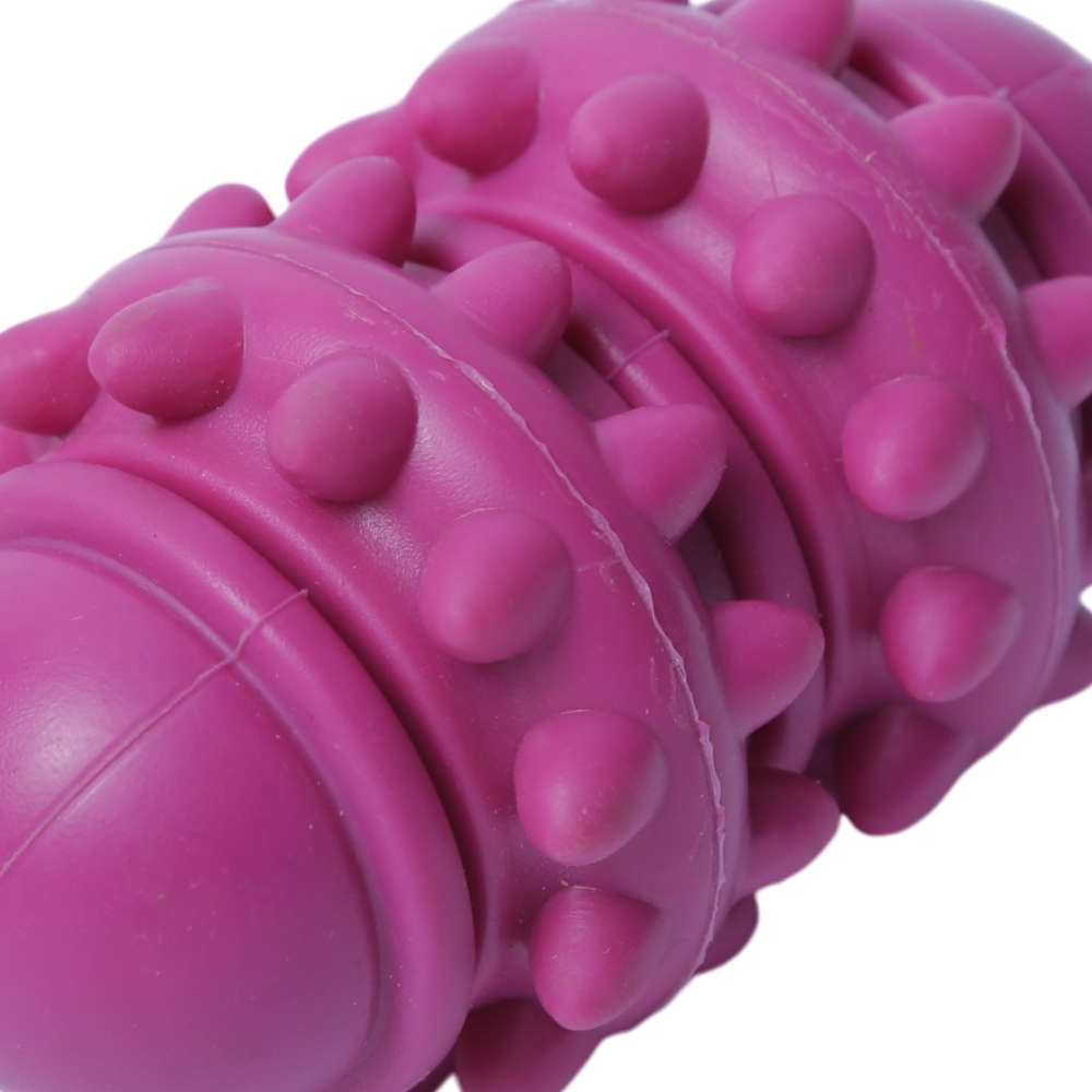 Brinquedo Cilindro Roxo Sabor Leite para Cães - Tam. Único