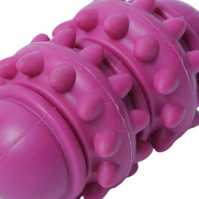 Brinquedo Cilindro Roxo Sabor Leite para Cães