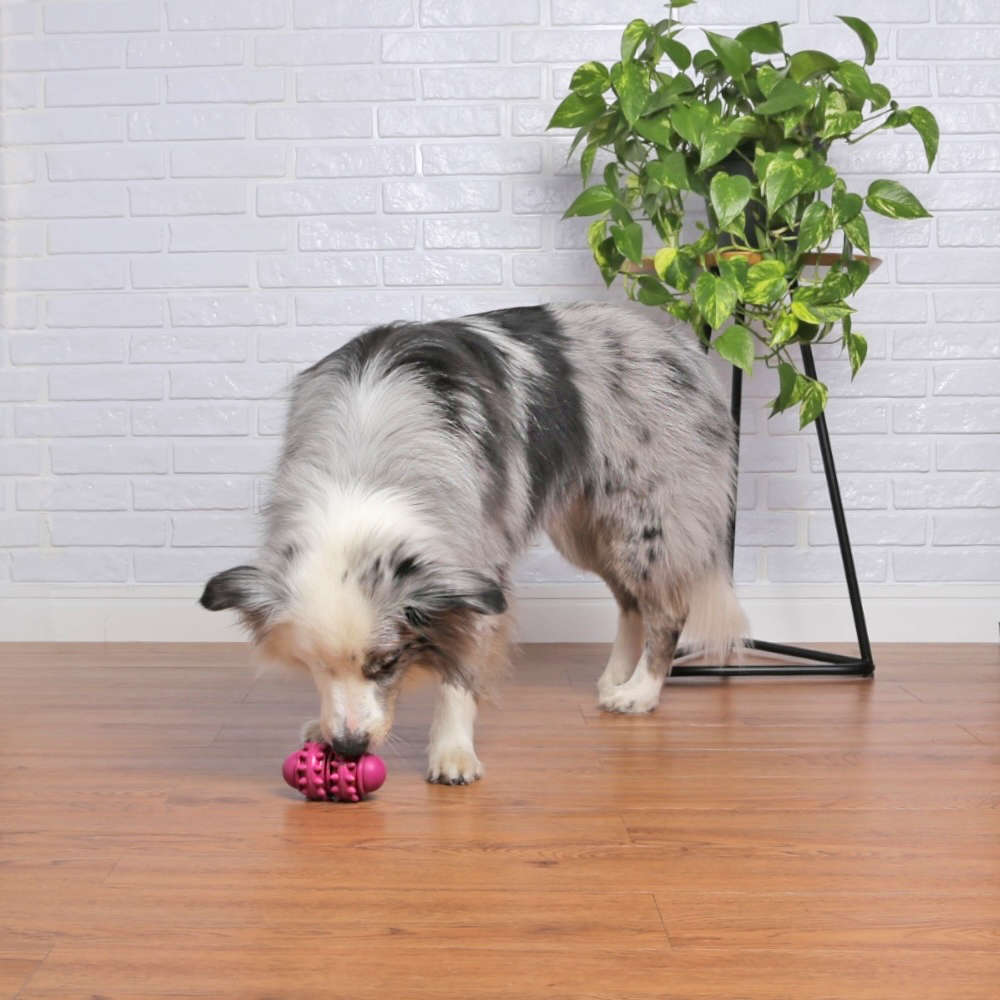 Brinquedo Cilindro Roxo Sabor Leite para Cães - Tam. Único