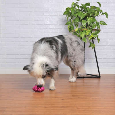 Brinquedo Cilindro Roxo Sabor Leite para Cães