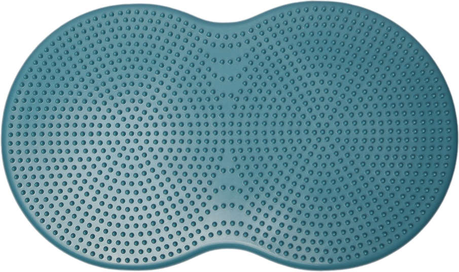 Disco Duplo de Treinamento FitPAWS® Inflável para Cães - Tam. Único