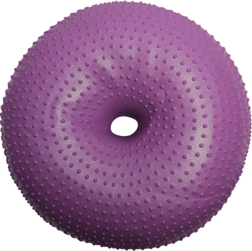 Plataforma de Treinamento de Equilíbrio Inflável FitPAWS® TRAX™ Donut para Cães - Tam. Único