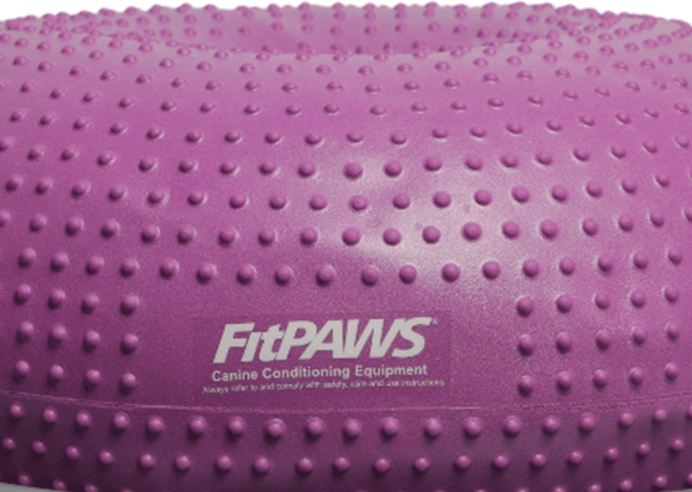 Plataforma de Treinamento de Equilíbrio Inflável FitPAWS® TRAX™ Donut para Cães - Tam. Único