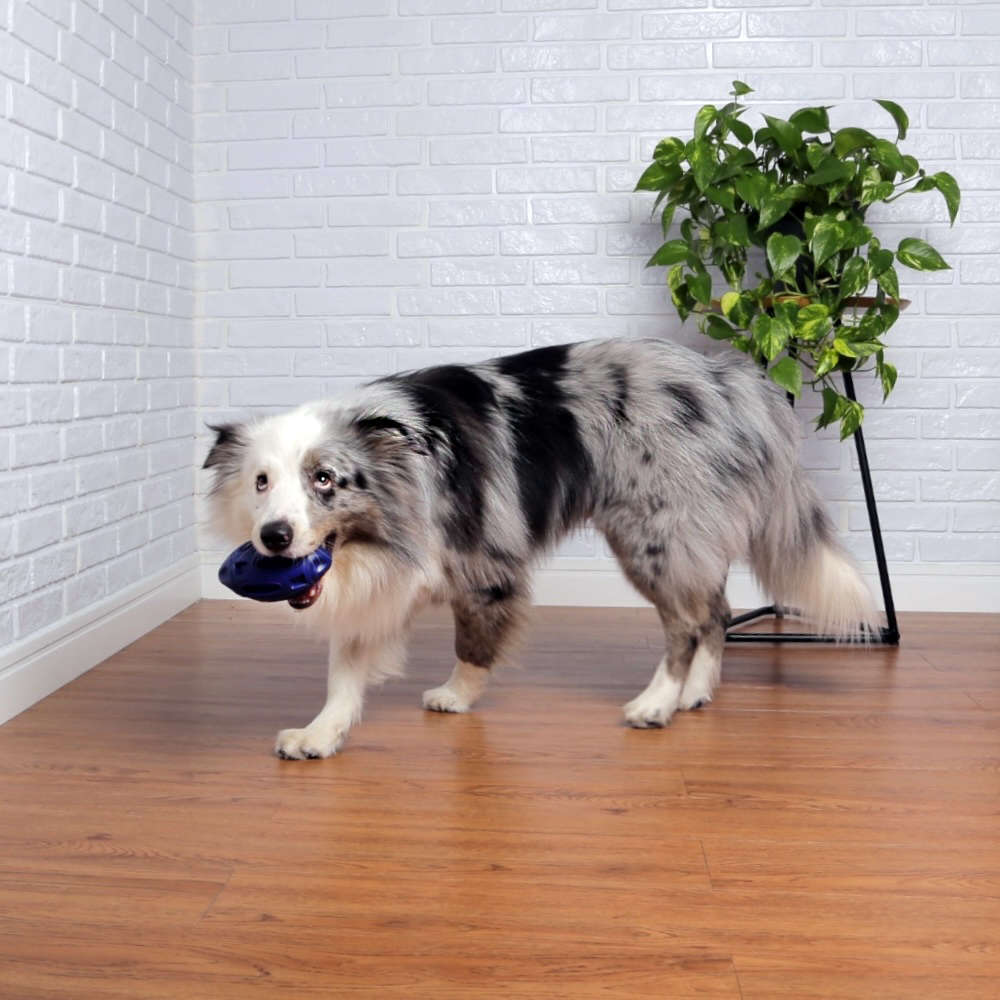 Brinquedo Bola de Rugby Azul Sabor Frango para Cães - Tam. Único