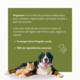 Kit Propovets Natural Própolis Verde + Tratamento 300 mL - KIT