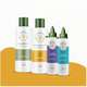 Kit Propovets Natural Própolis Verde 500mL + Tratamento - KIT