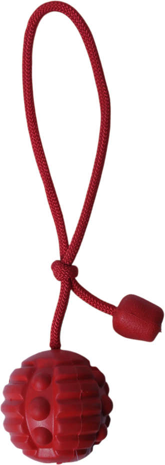 Brinquedo Bola com Corda Vermelho Sabor Carne para Cães - Tam. Único