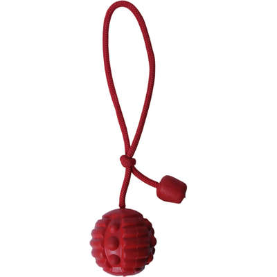 Brinquedo Bola com Corda Vermelho Sabor Carne para Cães”