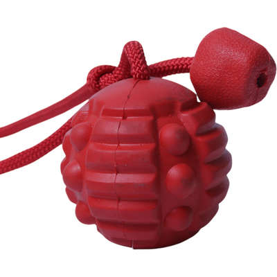 Brinquedo Bola com Corda Vermelho Sabor Carne para Cães”