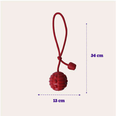 Brinquedo Bola com Corda Vermelho Sabor Carne para Cães